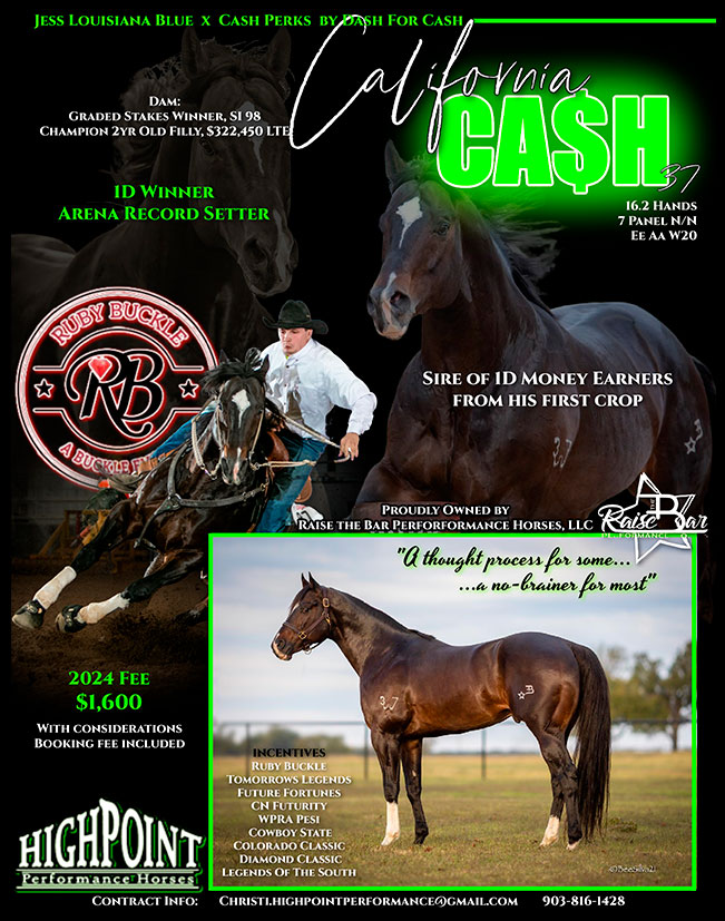 Highpoint Performance stallion California Cash 37