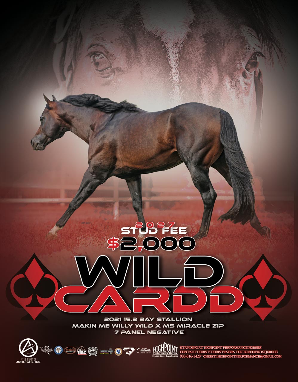 27-Wild-Cardd
